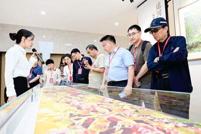 城鄉(xiāng)融合看嘉興 | 秀洲區(qū)油車港鎮(zhèn)勝豐村 農(nóng)民畫+非遺，文藝為鄉(xiāng)村賦能的真實(shí)畫卷